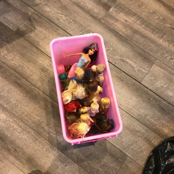 Barbies, Accessories & Wheeled Carrier - Picture 8 of 9